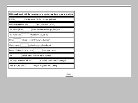 English/Miscellaneous_Activity/Fill in the blank/1 screenshot