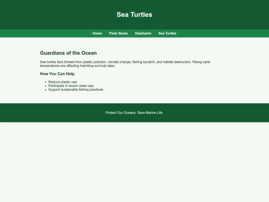 seaturtles screenshot