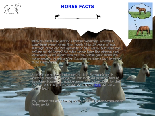 horsefacts screenshot