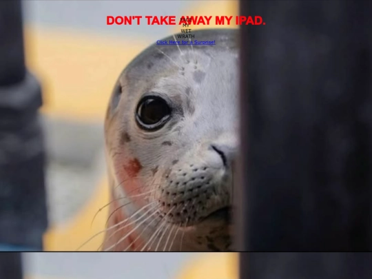 scaryseal screenshot