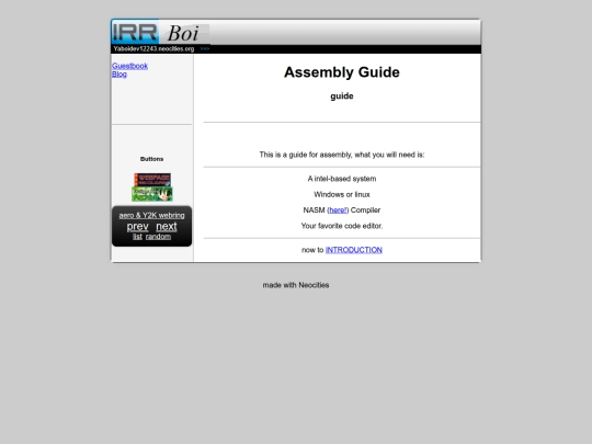 NASM screenshot