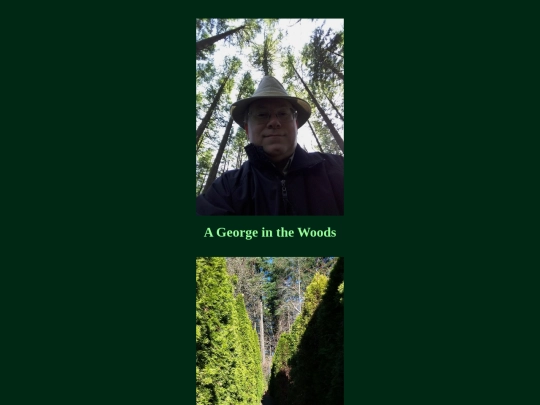 woods screenshot