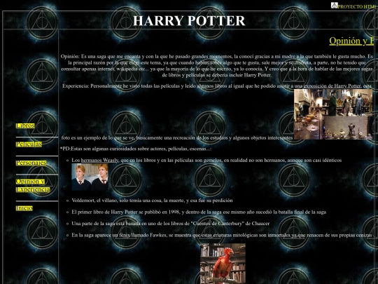 Proyecto.html/Opinión y Experiencia personal screenshot
