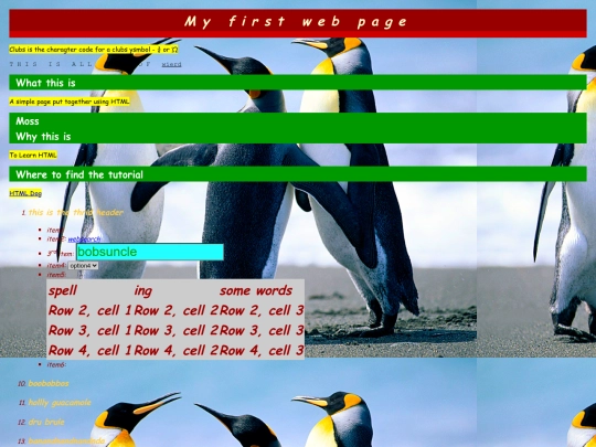 myfirstpage screenshot