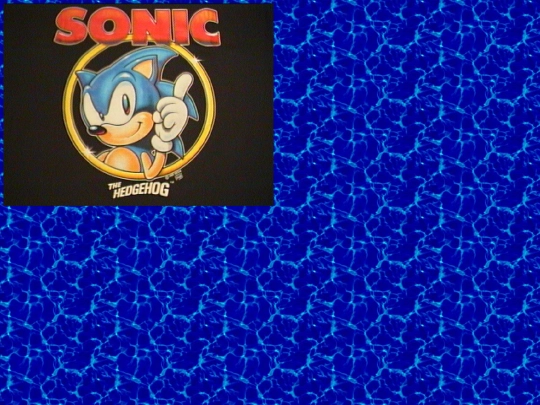 sonic-shrine/start screenshot