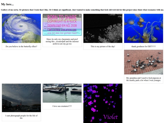 ethsprojectthingy screenshot