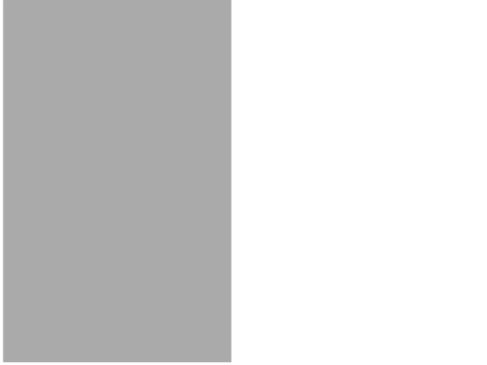 assets/plugins/jquery-scrollTo/tests/WinMaxY-quirks screenshot