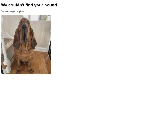 not_found screenshot