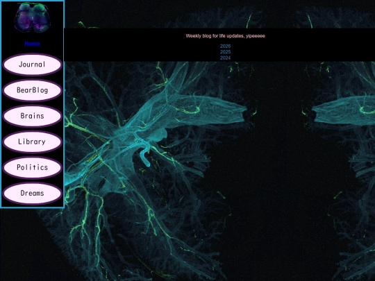 Weekly Blog/Blog screenshot