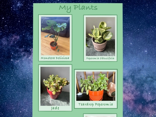 plants screenshot