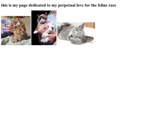 KITTY screenshot