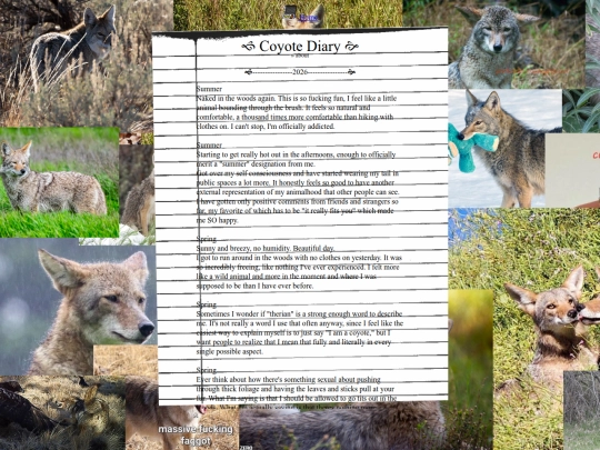 coyote_diary screenshot