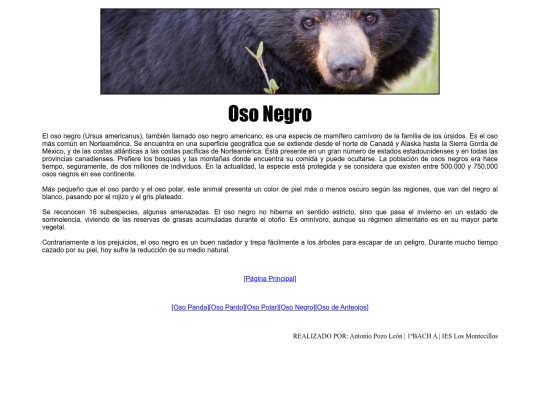 boton4 screenshot