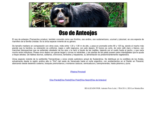 boton5 screenshot