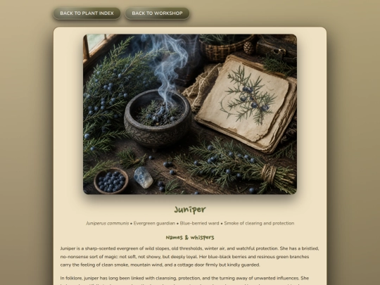 herb_juniper screenshot