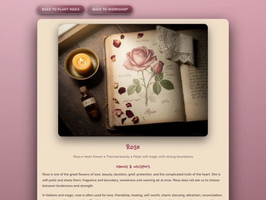 herb_rose screenshot