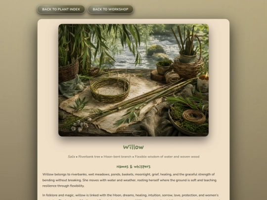 herb_willow screenshot