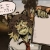 dymnykocur.yorniq.xyz avatar