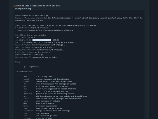 blog/guix screenshot