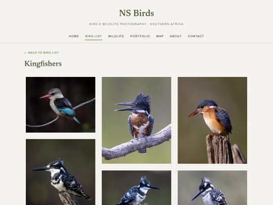 birds/kingfishers screenshot