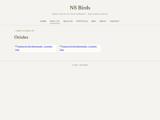 birds/orioles screenshot