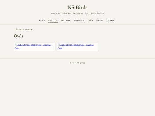 birds/owls screenshot