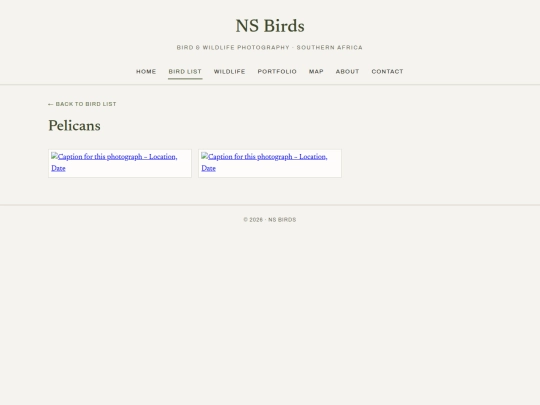 birds/pelicans screenshot