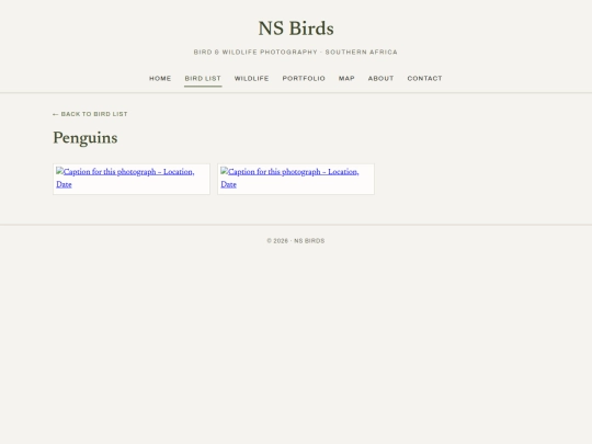 birds/penguins screenshot
