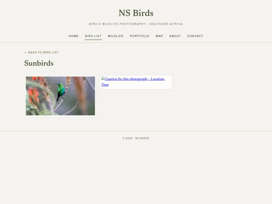 birds/sunbirds screenshot