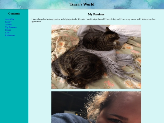 page4 screenshot