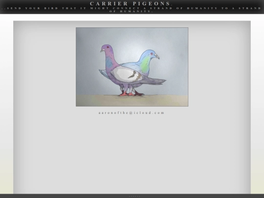 pigeons screenshot