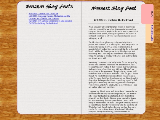 BuggyBlog screenshot