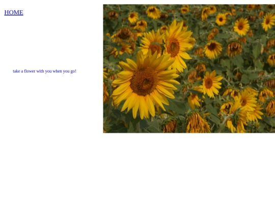 field screenshot