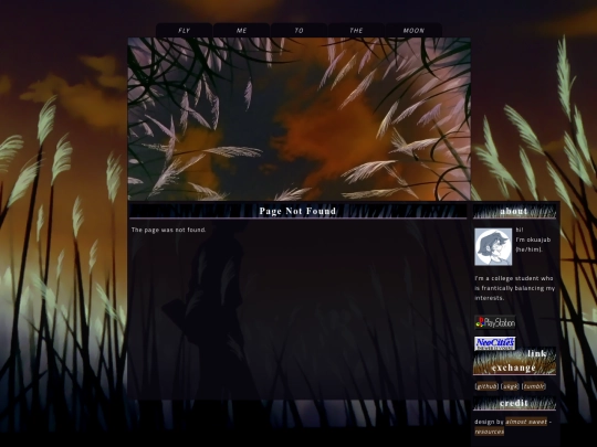 zonelet/not_found screenshot