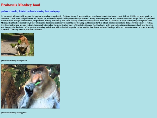 food screenshot