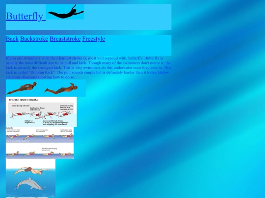 Butterfly1 screenshot