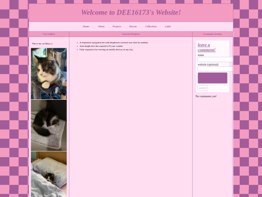 projects screenshot