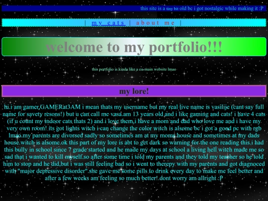 portfolio2 screenshot