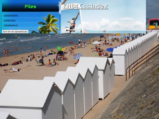 x/media/script screenshot