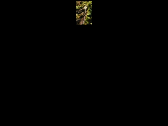 treeplace screenshot