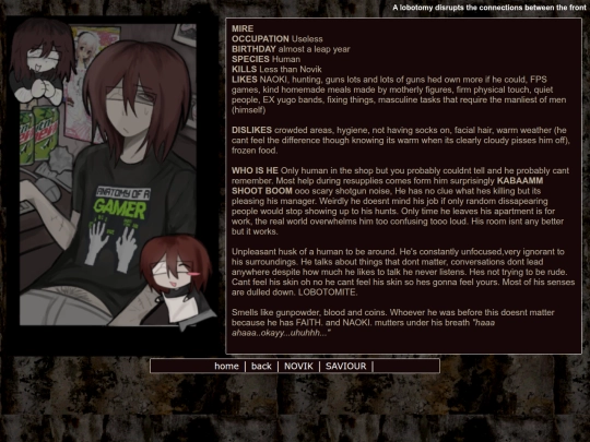MIRE screenshot
