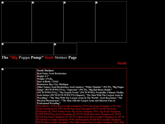 nwo/Scott_Steiner_nWo_Page screenshot