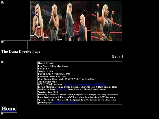 nwo/bwoothers/Dana_Brooke_Titus_Worldwide_Page screenshot