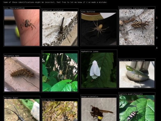 idphotos screenshot