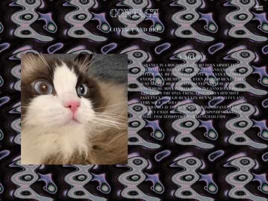 new my web/contact screenshot