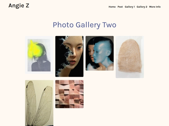 sanmao/gallery2 screenshot