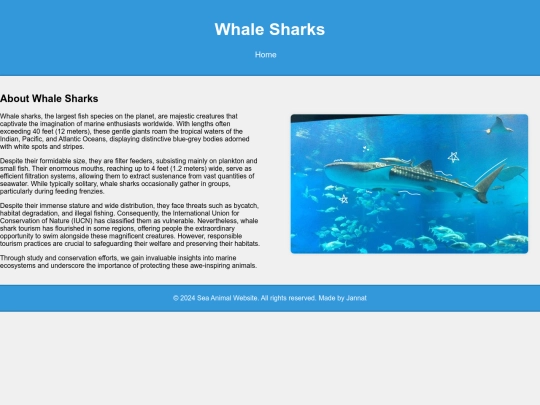 whale_sharks screenshot