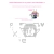 pixiepaws.yorniq.xyz avatar