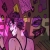 pansycorezine.yorniq.xyz avatar