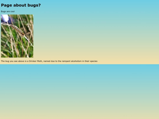 rosiesbugs screenshot